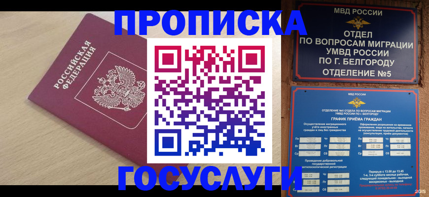 прописка законно в Кондопоге